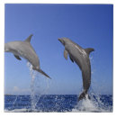 Suche nach delfin fliesen Tier