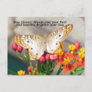 Recherche de algues cartes postales Photographie