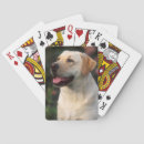 Recherche de mise jeux de cartes Animal