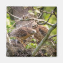 Recherche de épaule magnets Pour tous