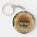 Recherche de spitz porteclés Loulou