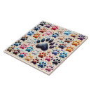 Recherche de canines carreaux Chien