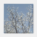Suche nach eisig magnete Winter