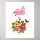 Suche nach exotische schmetterlinge poster Tier