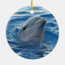 Suche nach delfin ornamente Süß