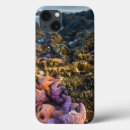 Suche nach landschaft ipad hüllen Ozean