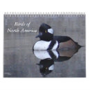 Suche nach umwelt kalender Natur