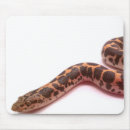 Recherche de boa tapis souris Serpent