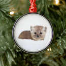 Recherche de baby ornamente Nature