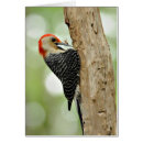 Recherche de gonflé cartes postales Oiseau