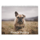 Suche nach französische bulldogge kalender Haustier
