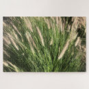 Suche nach gräser puzzle Fotografie
