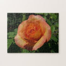 Suche nach peach puzzle Natur