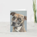 Suche nach leinwand karten Hund