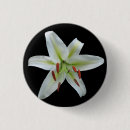 Suche nach weiße lilie buttons Lilien