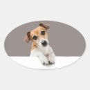 Suche nach jack russell aufkleber Süß
