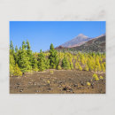Recherche de tenerife cartes postales Teide