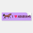Suche nach arabe autoaufkleber Pferd