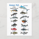 Recherche de poissons tropicaux cartes postales Pêche