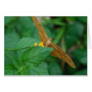 Recherche de julia cartes postales Fleur