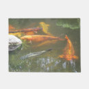 Recherche de cyprinus Nishikigoi