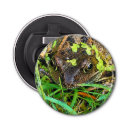 Recherche de grenouille mignonne ouvre bouteilles Amphibien