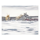 Recherche de mammifères posters Hiver
