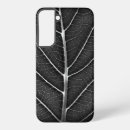 Recherche de lueur photographie Nature