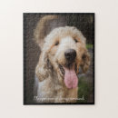 Recherche de poodle puzzles Chien
