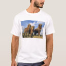 Recherche de poney shetland tshirts Gros plan