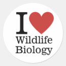 Recherche de habitat cadeau emballages Comportement animal