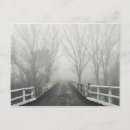 Recherche de arbre nu posters Jour