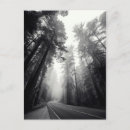 Suche nach sequoia karten Natur