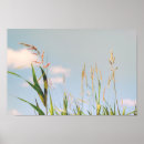 Suche nach blaues gras poster Feld
