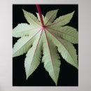 Suche nach background poster Leaves