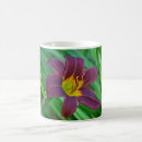 Recherche de lièvre tasses Jardinier
