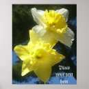Recherche de belles fleurs posters Lis