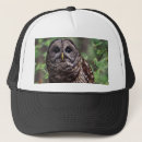 Recherche de chouettes casquettes Faune