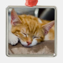 Suche nach schlafend ornamente Orange