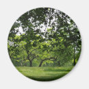 Suche nach grünes gras magnete Im freien