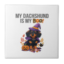 Suche nach dachshund fliesen Welpe