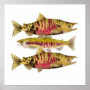 Recherche de saumon art Truite