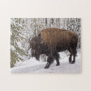 Recherche de bison puzzles Parc national de yellowstone