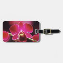 Suche nach orchideen gepäckanhänger Rosa
