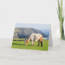 Recherche de les îles shetland cartes postales Martin zwick