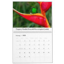 Suche nach kolibris kalender Vogelkalender