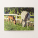 Recherche de jument photographie Cheval