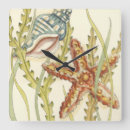 Recherche de poisson horloges Étoile de mer