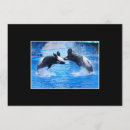 Recherche de épaulards cartes postales Baleines