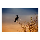 Recherche de ensoleillé posters Ciel